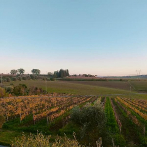 Villa vista vigneto Cortona